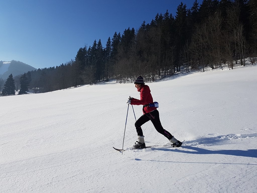 skiraquettes-a-meaudre-vercors.jpg