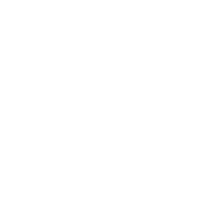 altai-skis.png